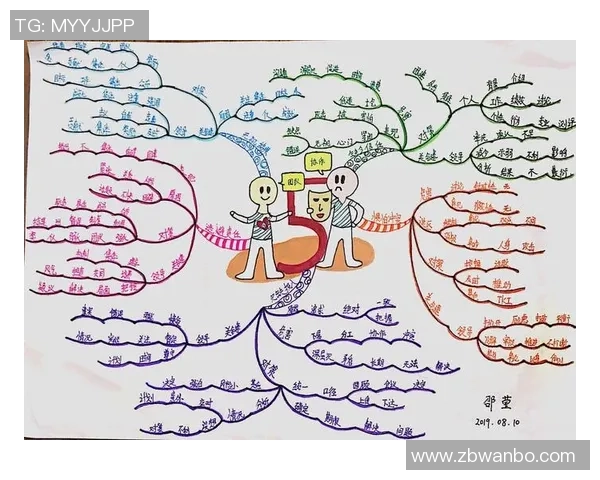 杭州排球队战术创新与团队协作的深度解析与展望