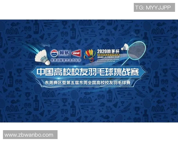 武汉羽毛球队运营策略深度分析与市场发展前景探讨