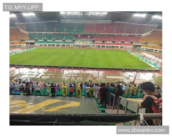 湖南足球明星盘点及其在国内外赛场的精彩表现与成就分析