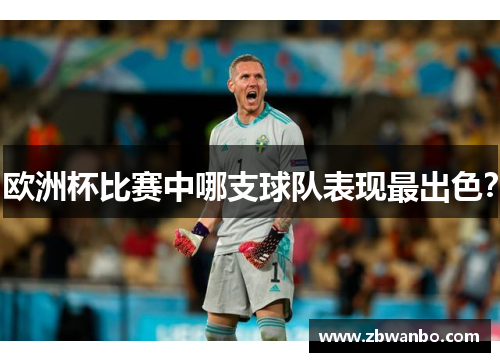 欧洲杯比赛中哪支球队表现最出色？
