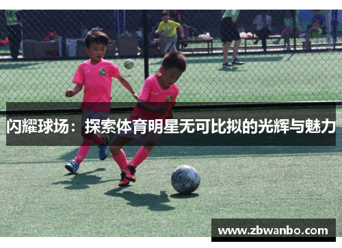 闪耀球场：探索体育明星无可比拟的光辉与魅力